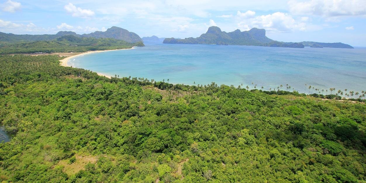 LioElNido's profile banner image