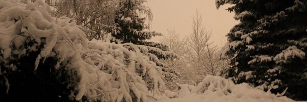 lukejharmon Profile Banner