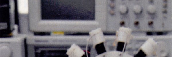eggzeTechnik Profile Banner