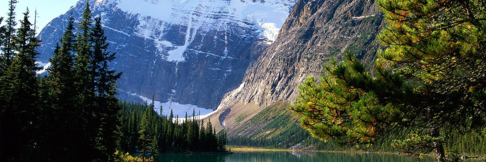 Santiago Córdova banner