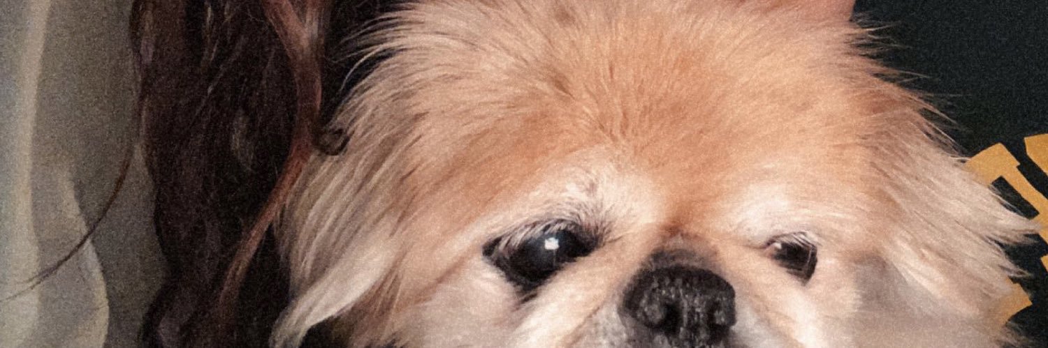 Nikki2Presh's profile banner image