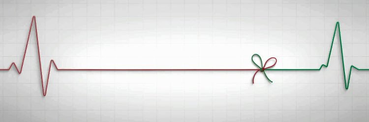 TesRey's profile banner image