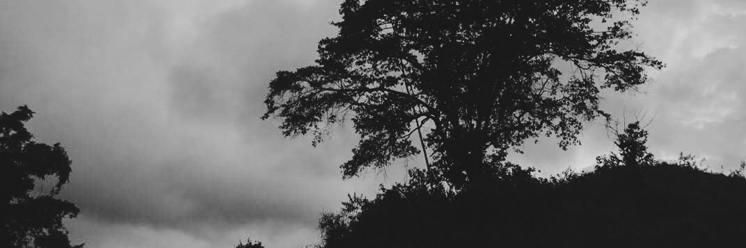 Gonzalez_Maria9's profile banner image