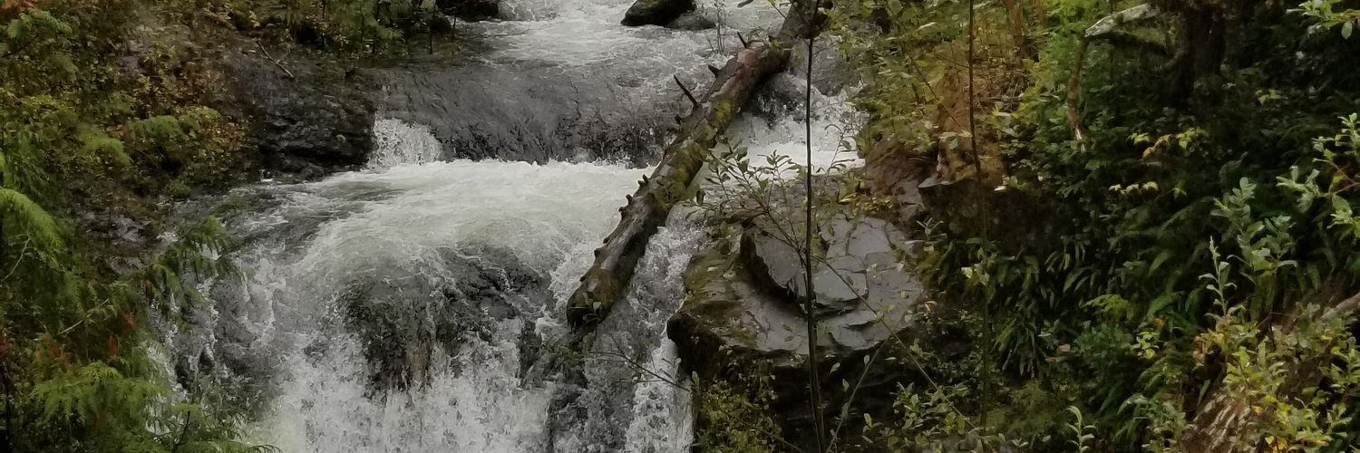 GregSin22's profile banner image