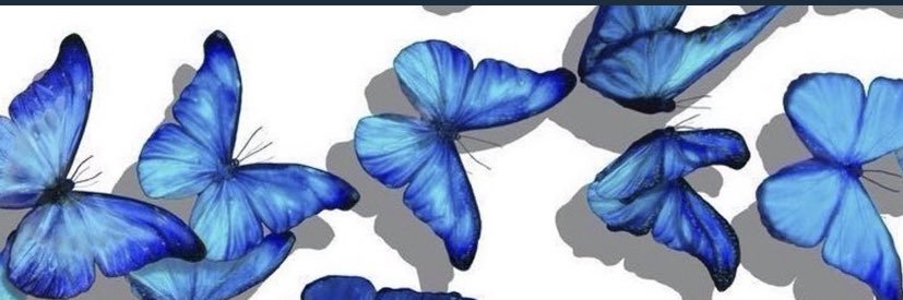 lizandra_si's profile banner image