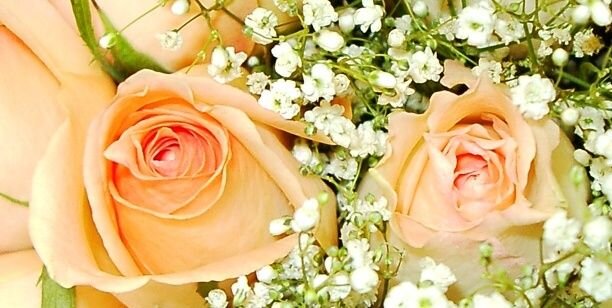 wwwmohammed628's profile banner image
