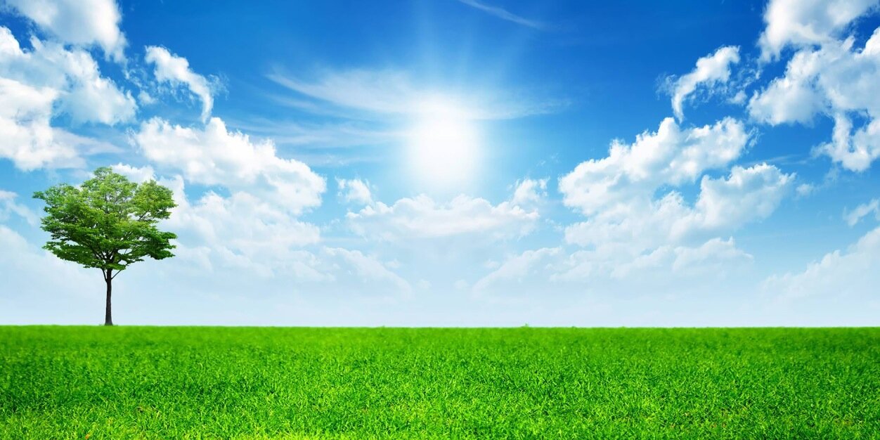 Life is Good! (Ornella) (Hairtherapy) banner