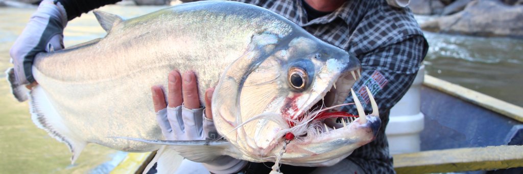 Panther Martin Lures banner