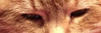ChaudVally's profile banner image