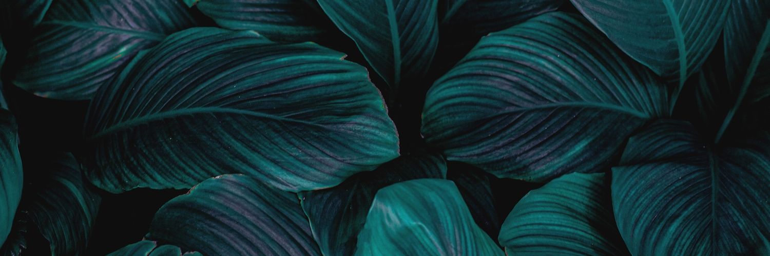 amhlwany's profile banner image