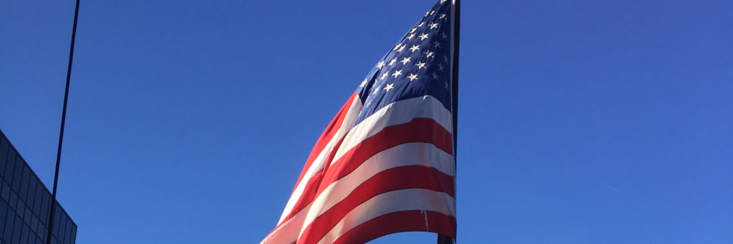 1Cicala's profile banner image