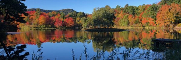 KestrelTrust Profile Banner