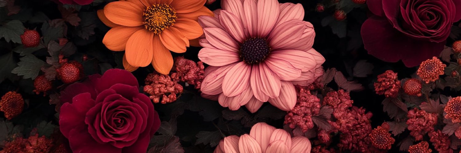 _caitlinbeals's profile banner image