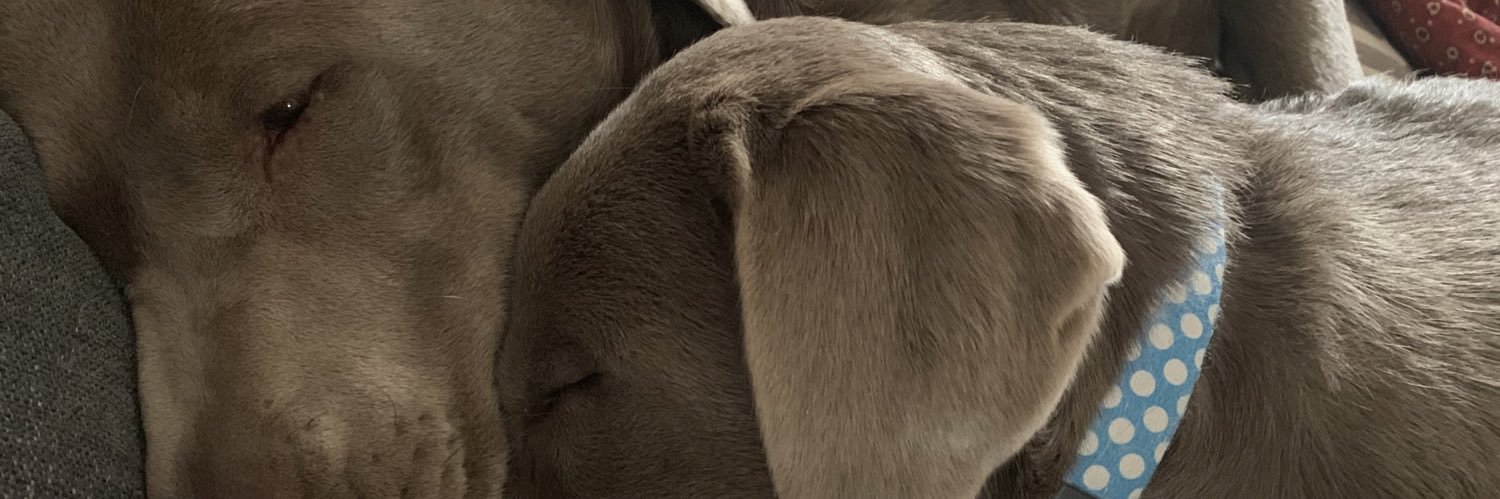 MarcieKTaggart's profile banner image