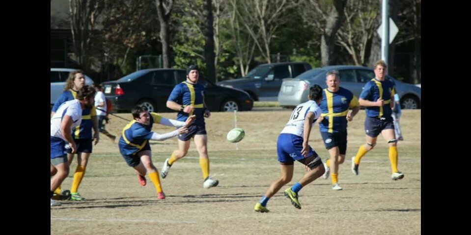 Mike Ryan banner
