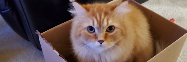 KenWali1 Profile Banner