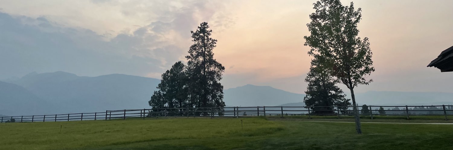 leenyreich's profile banner image