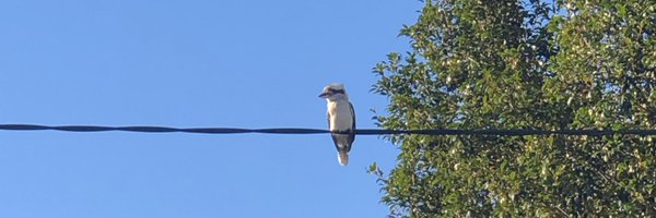 tomcundy Profile Banner