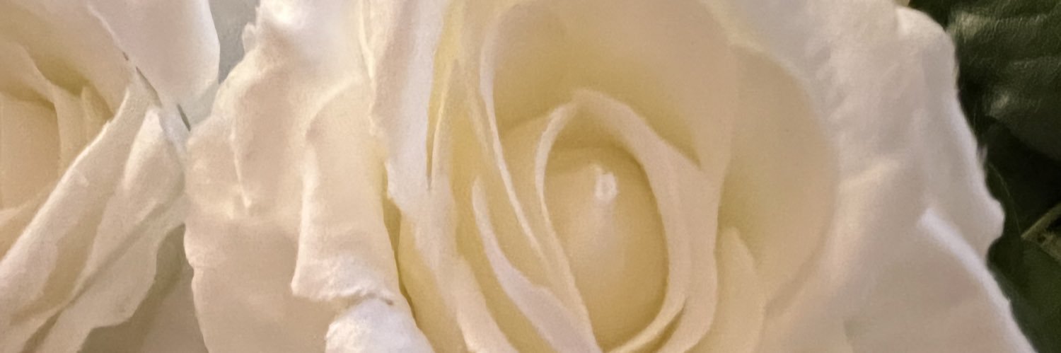 MsDQ2U's profile banner image