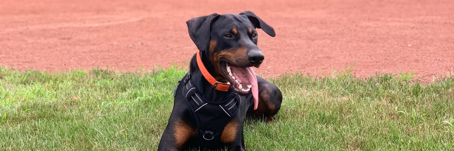 T. McLemore™ banner