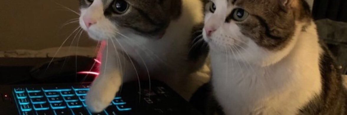 ryanshadracks's profile banner image