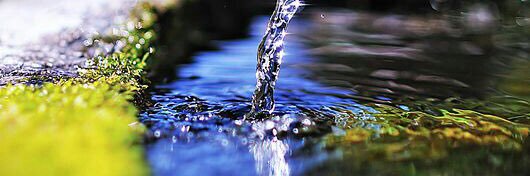 إبراهيم الحسني banner