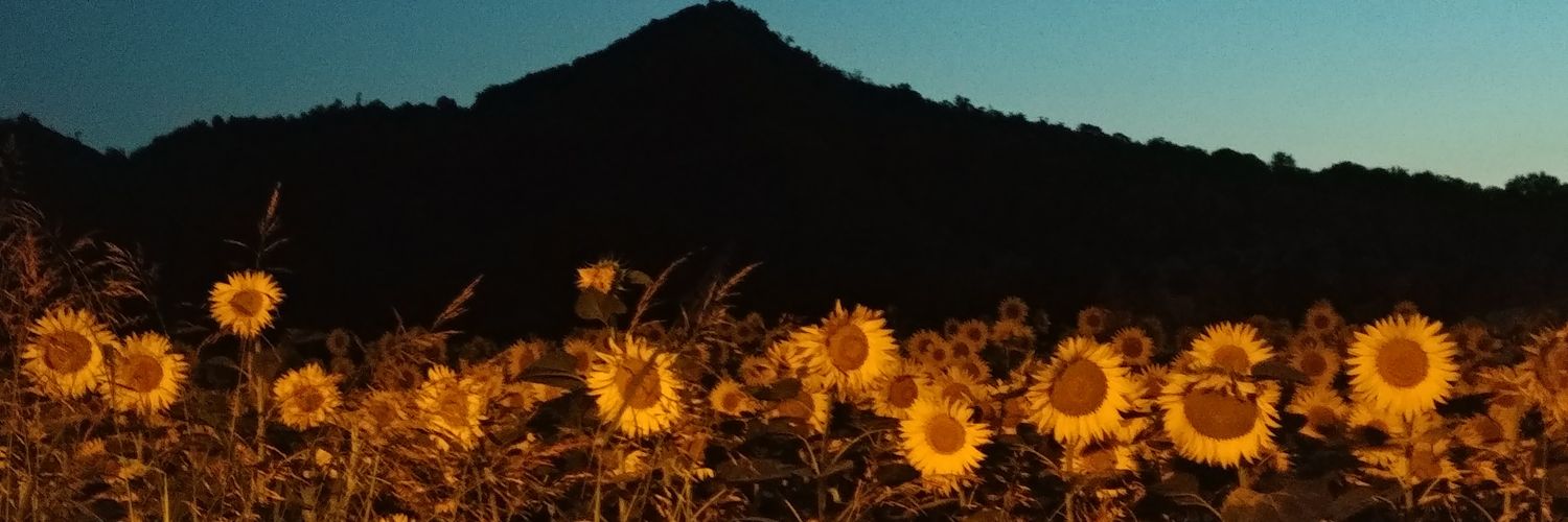 Manumora69's profile banner image