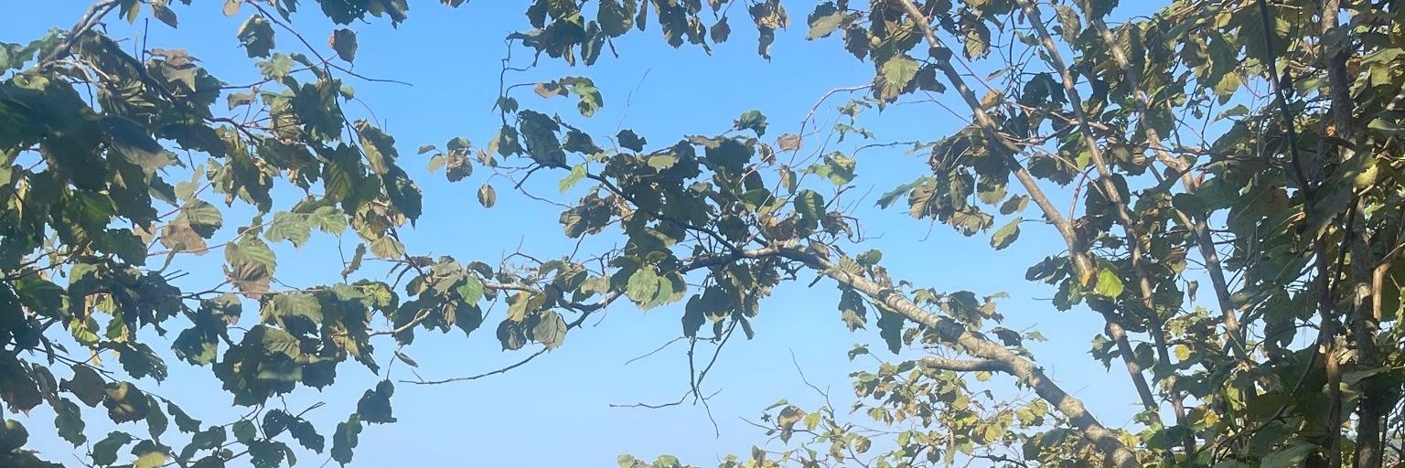 semaa12344's profile banner image