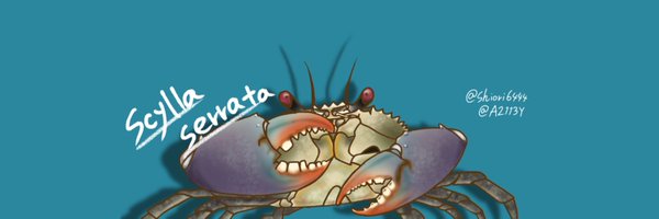 A2113Y Profile Banner