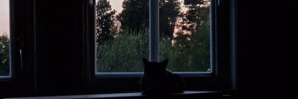 OptoCloud's profile banner image