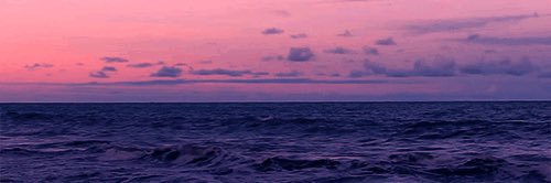 RayCoelh's profile banner image