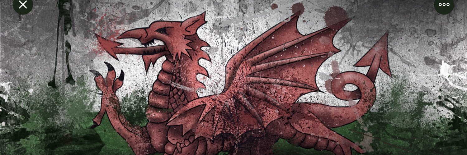 leguilvinec's profile banner image