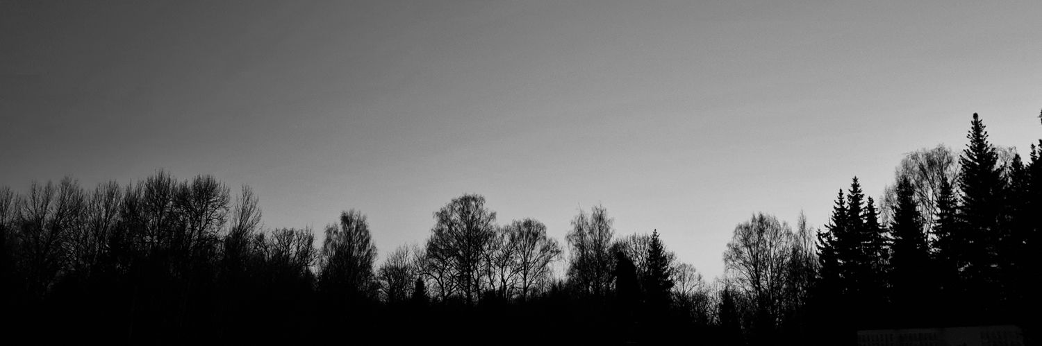 Mrsloooser's profile banner image
