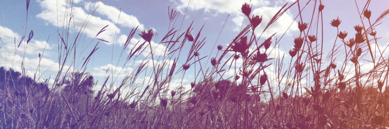 conchis_ponchis's profile banner image