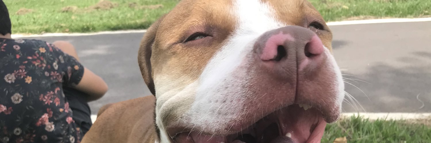 medeixaa_'s profile banner image