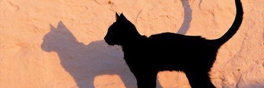 djavous's profile banner image
