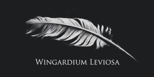 Abensonallgdr's profile banner image
