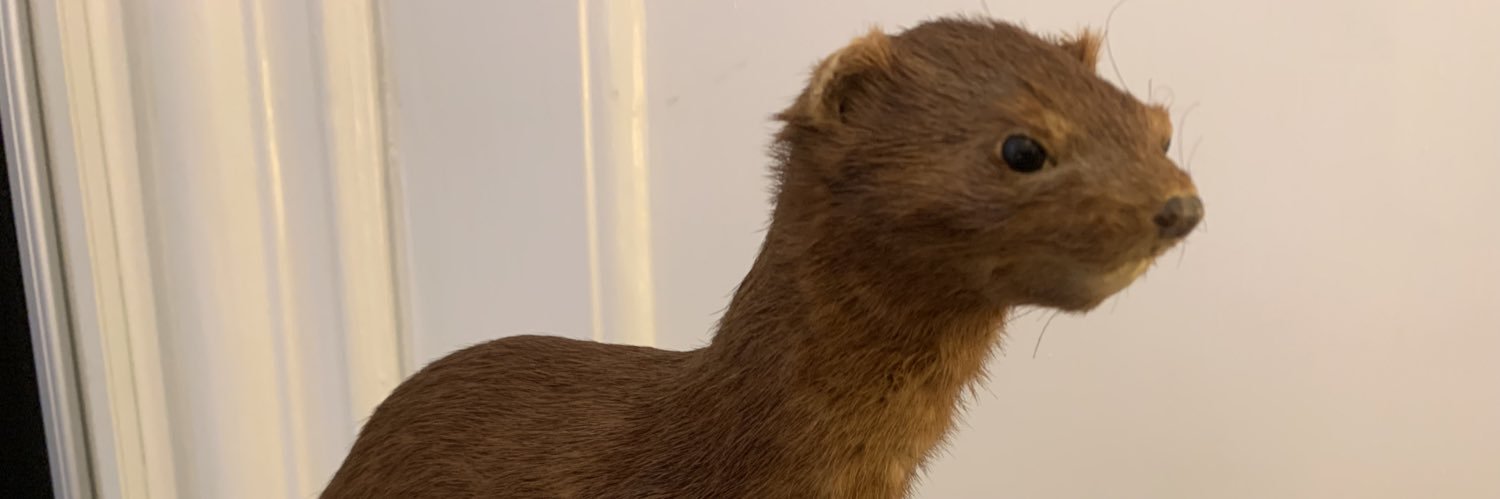 Peter Bollerup Andersen banner