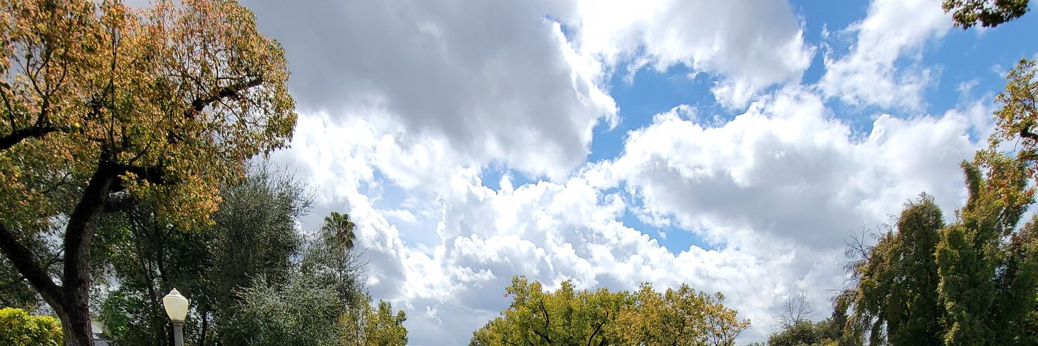 DSVM419's profile banner image