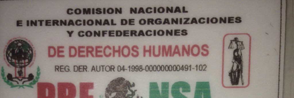 raul fernandez leon banner