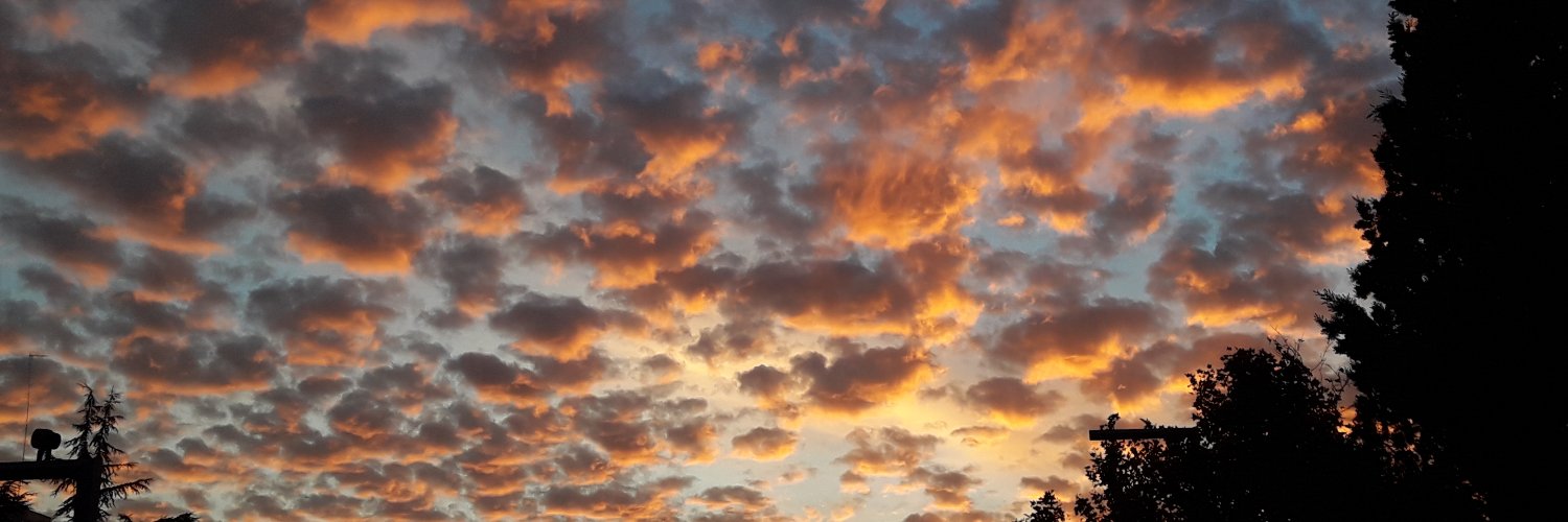 Belén Blázquez banner