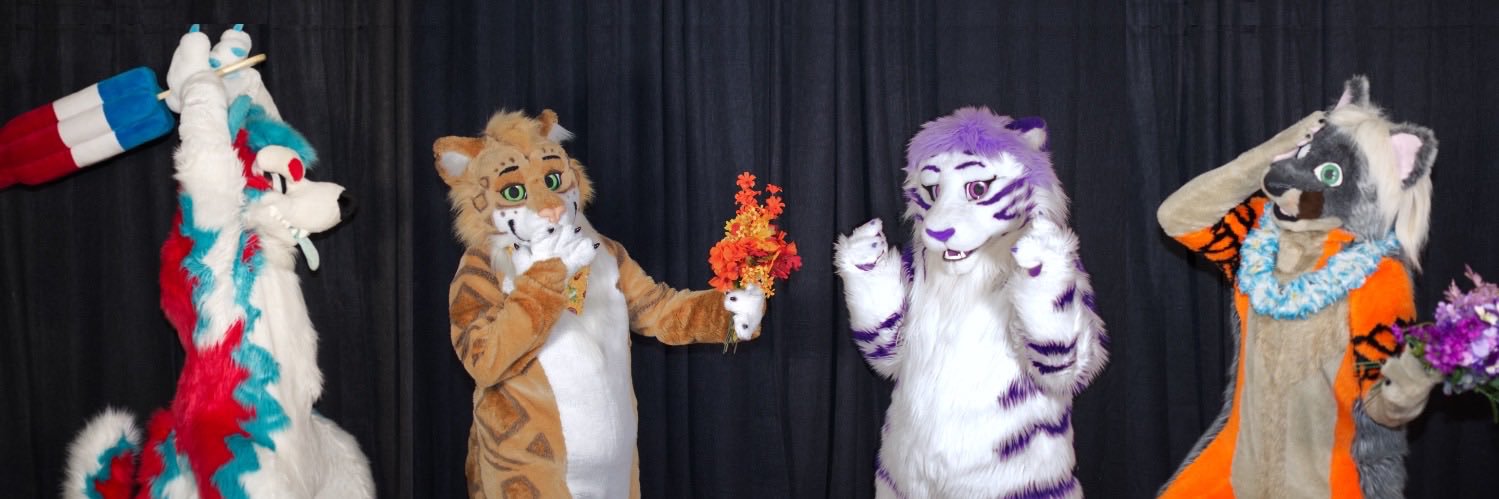 Avi_tiger's profile banner image
