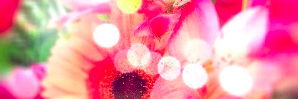 natasha_lee's profile banner image