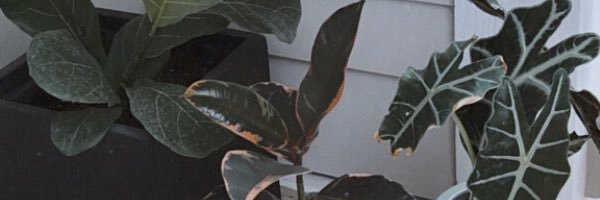 HelloMaliBabu's profile banner image
