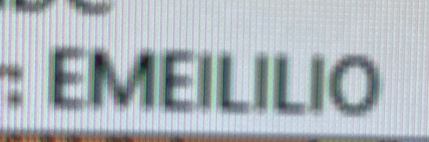 EJMelilloo's profile banner image