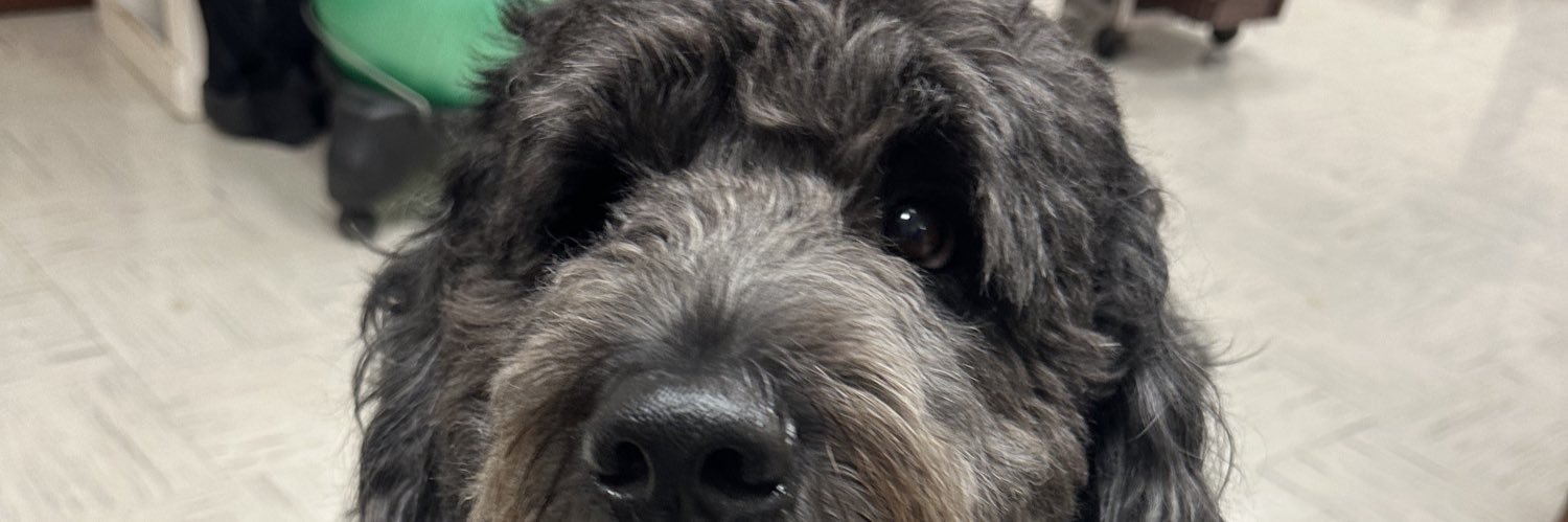 m. buzzy banner