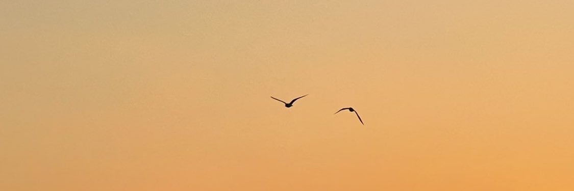 ¿? banner