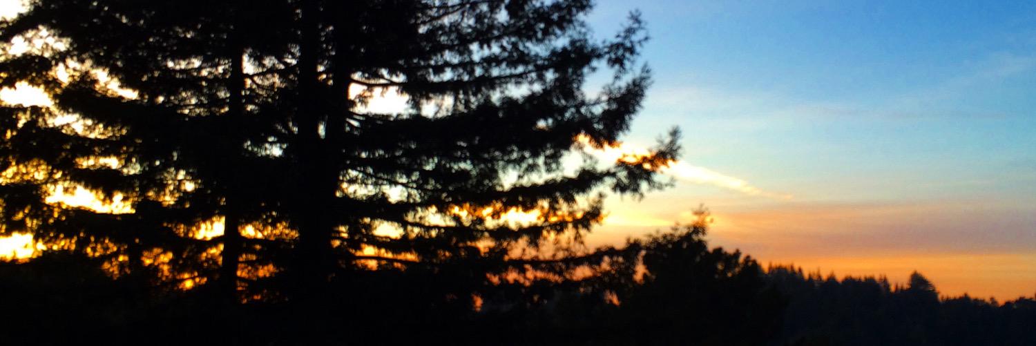 RiderRanchCider's profile banner image