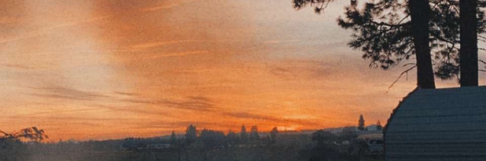CheyanneDove's profile banner image