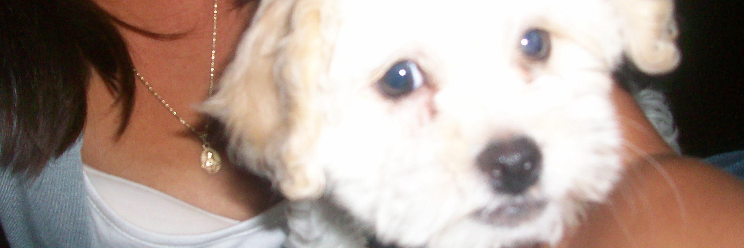 andru_vv's profile banner image